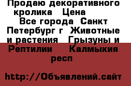 Продаю декоративного кролика › Цена ­ 500 - Все города, Санкт-Петербург г. Животные и растения » Грызуны и Рептилии   . Калмыкия респ.